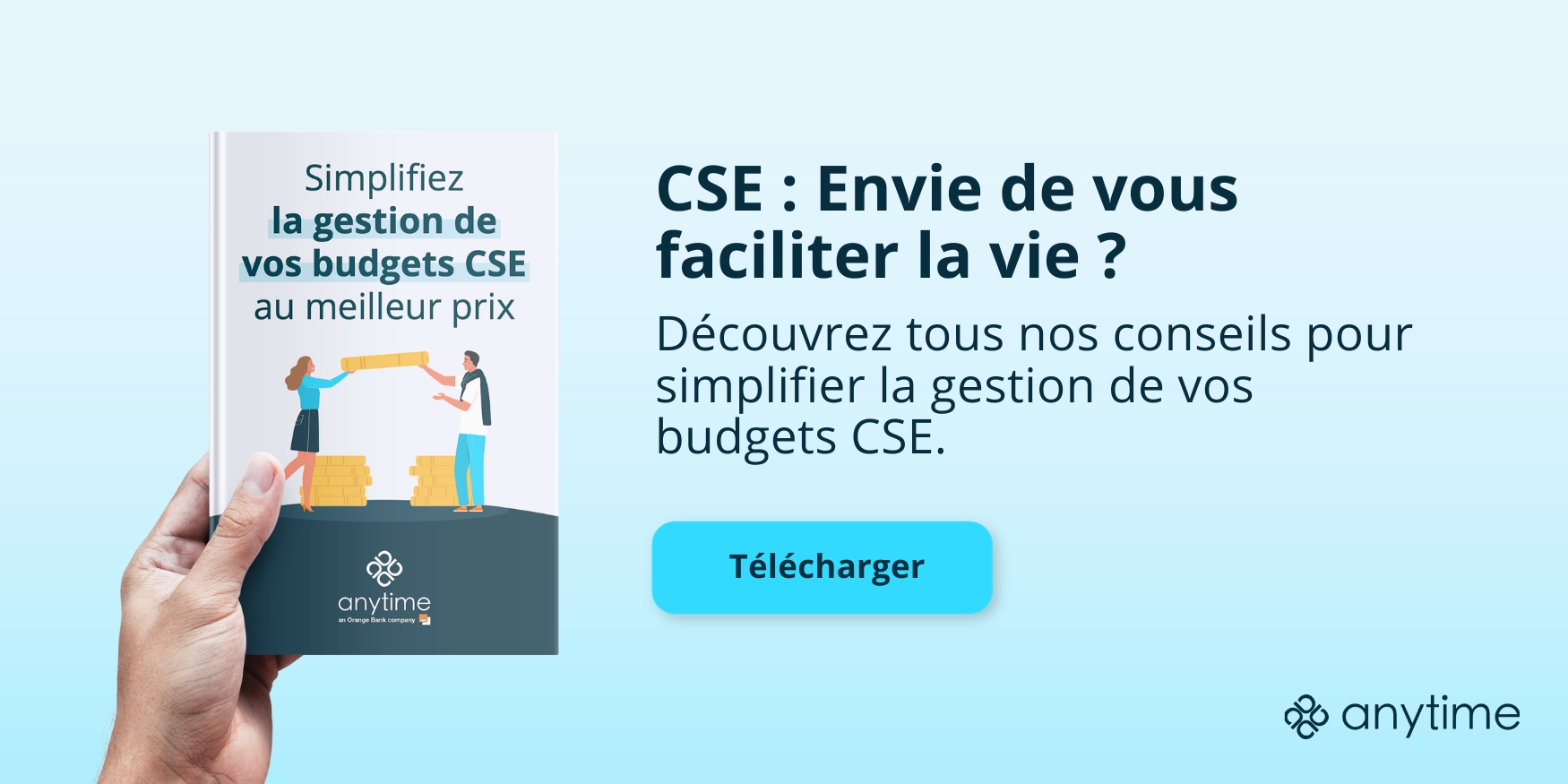 CSE budgets